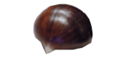 una castagna